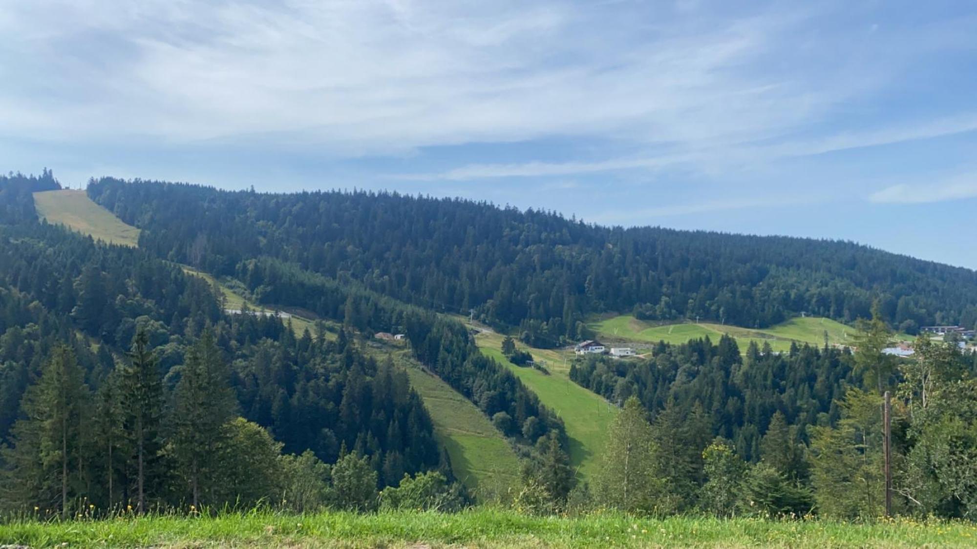 Appartement Sur Les Hauteurs De Gérardmer Eksteriør billede